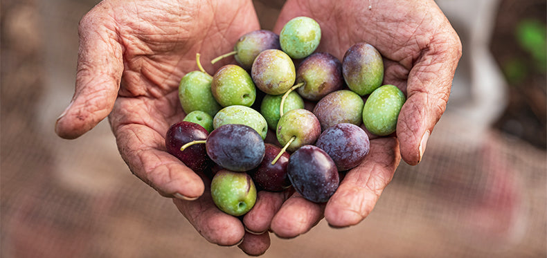 Extra Virgin Olive Oil (EVOO): What It Is, Its Benefits, and How to Choose the Best