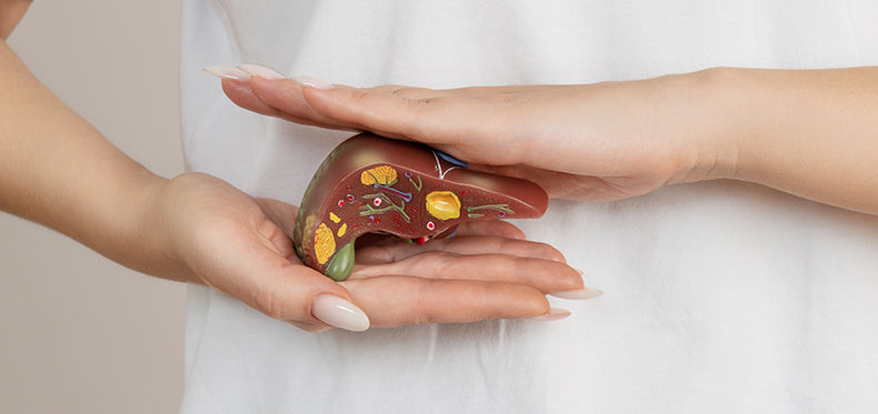 Understanding Fatty Liver: Causes, Symptoms, and Prevention